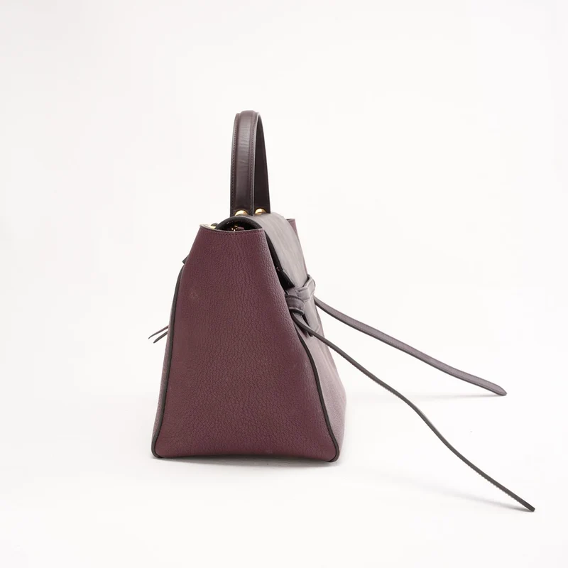 Celine Bi-Color Mini Belt Bag in Burgundy and Dark Brown Flap 2019