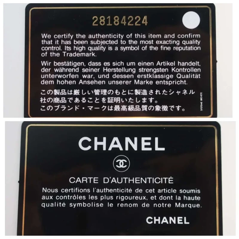 Chanel Runway Metallic Crocodile Embossed WOC