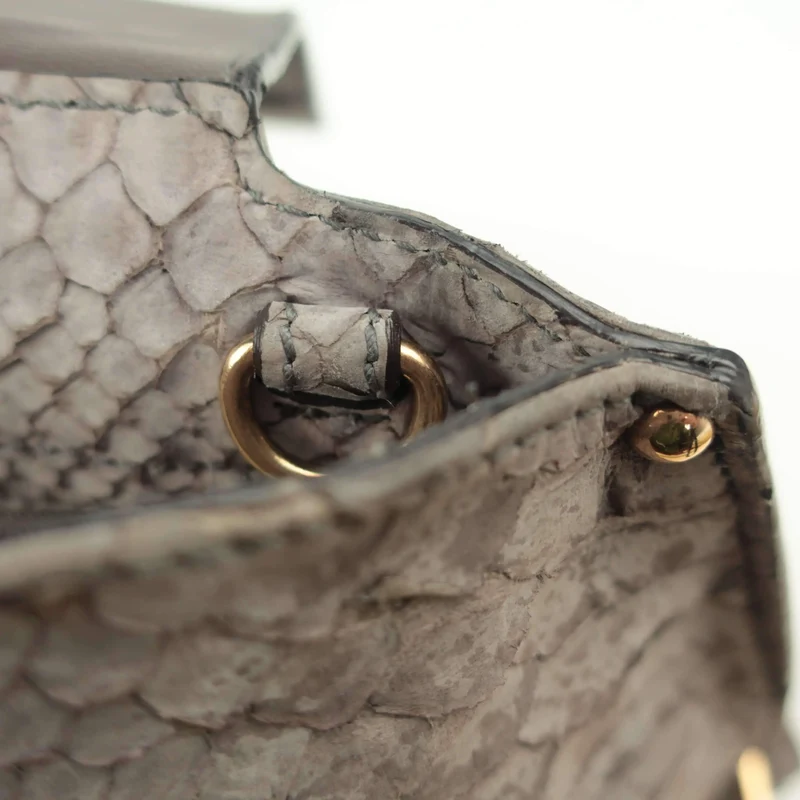 Salvatore Ferragamo Sofia Medium Python Bag