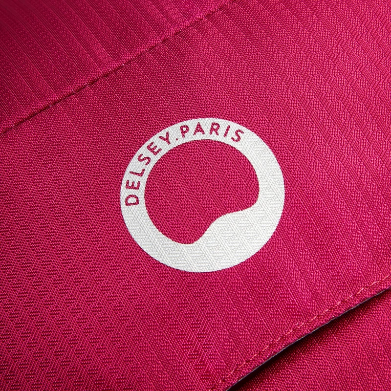 Delsey Paris Nomade - Rucksack 15" 43 cm L RIFD (paonie)