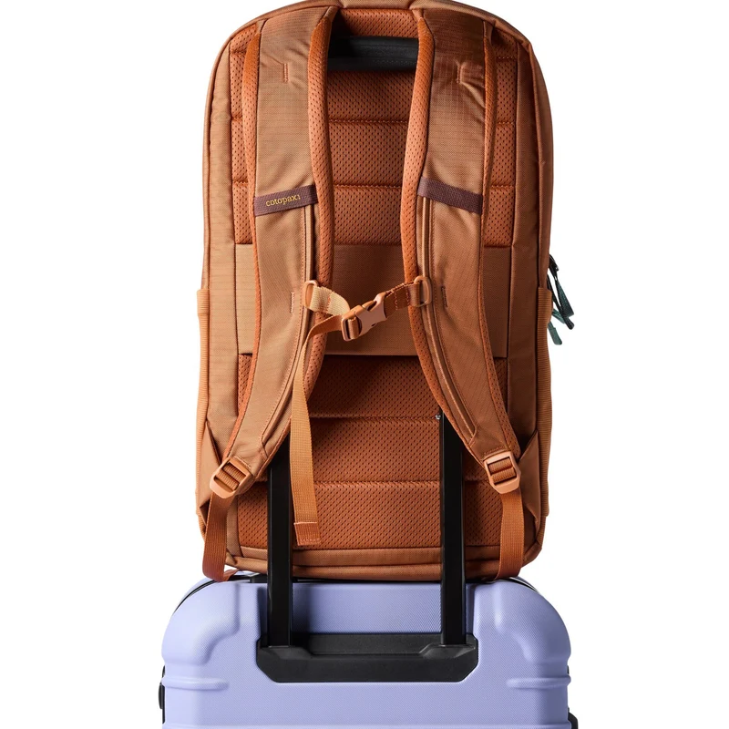 Cotopaxi Allpa 26L Daypack - Rucksack 52 cm (whiskey)