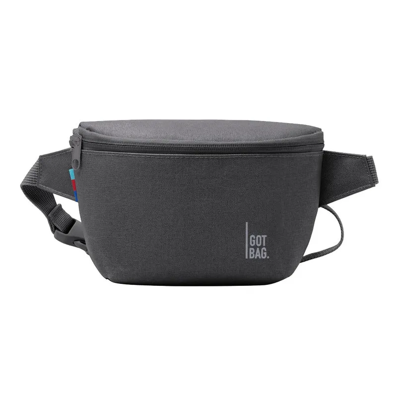 Got Bag Hip Bag 2.0