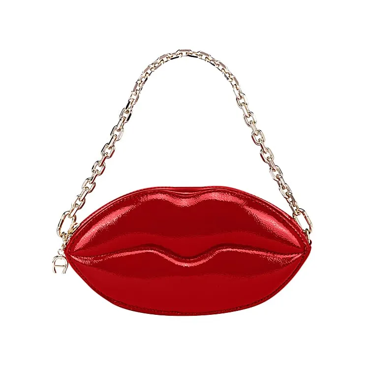Aigner Bisou Reißverschlusstasche